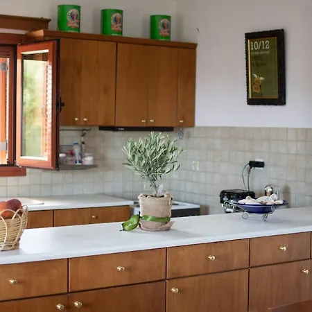 Διαμέρισμα Overlooking Cheromilos Nέα Στύρα