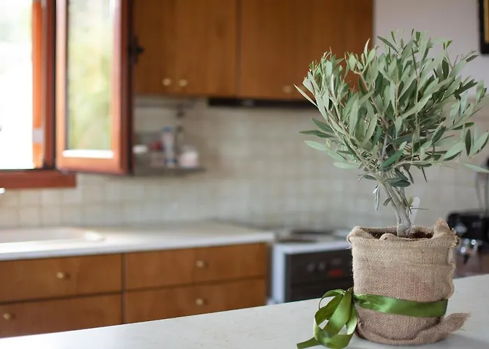 Διαμέρισμα Overlooking Cheromilos *